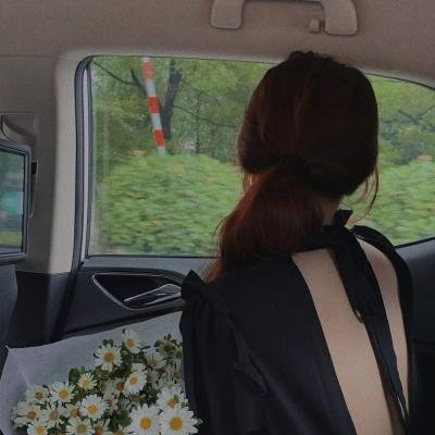 苏菲的世界